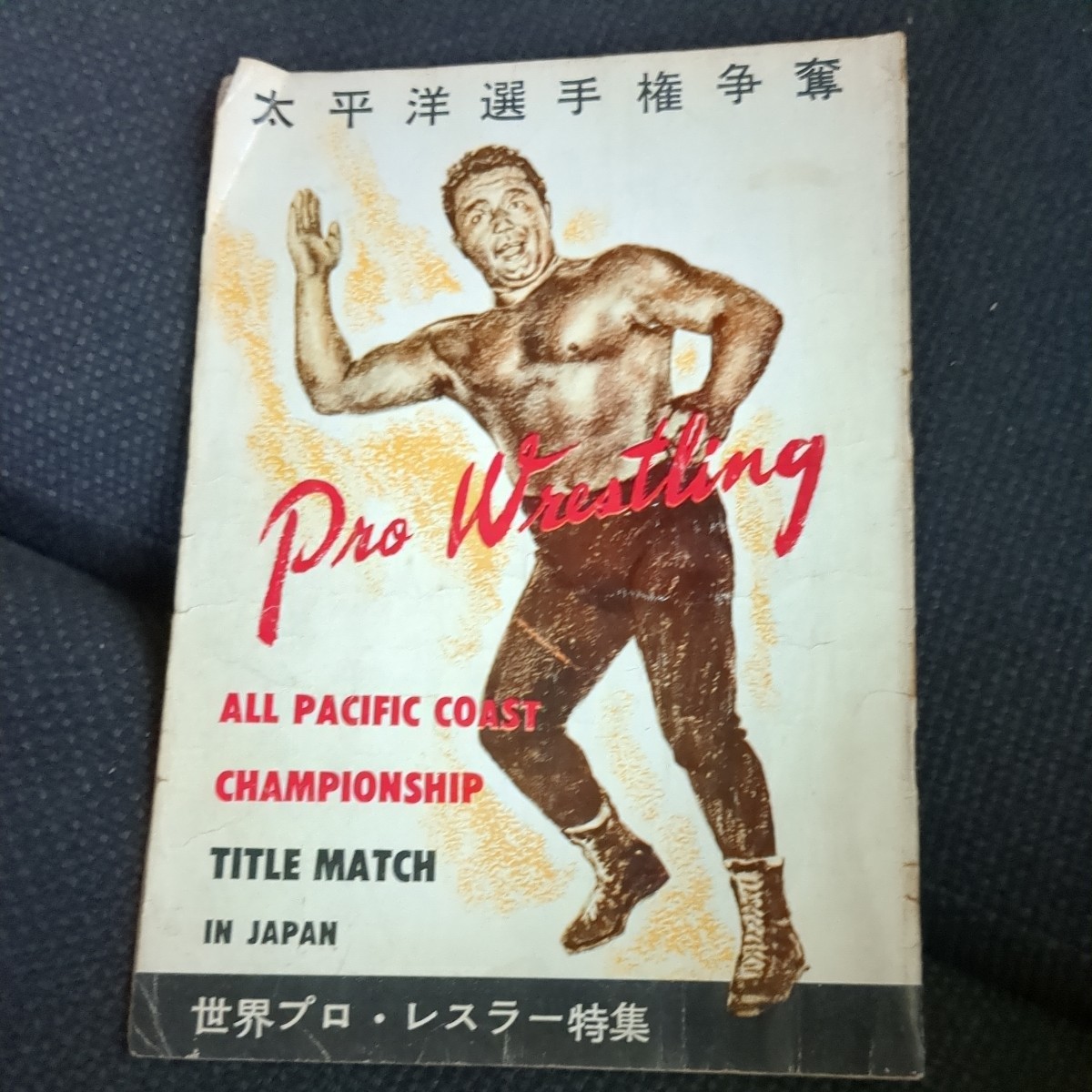 レトロ プロレスパンフレット （昭和29年 プロレスパンフレット/力道山 