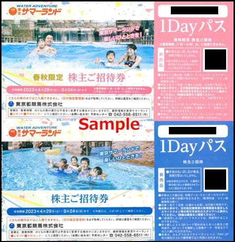 ◇09-08◇サマーランド 株主招待券 8枚綴りセットE◇ 東京