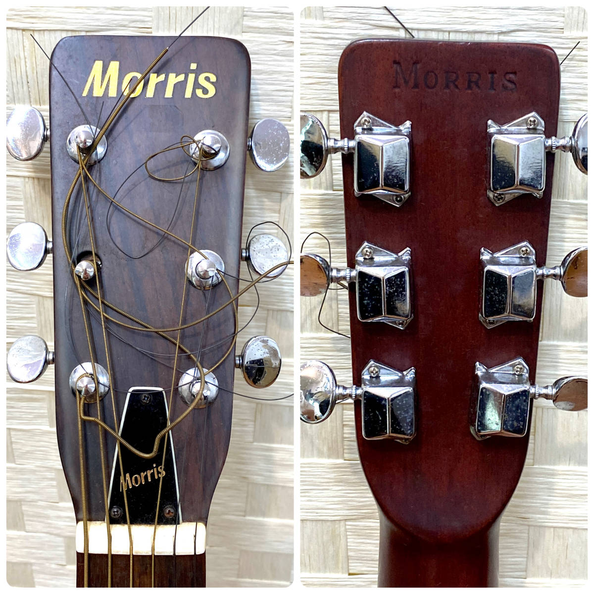 F-15 モーリス TY0505□Morris 生産完了品 GUITARS モーリスギター 