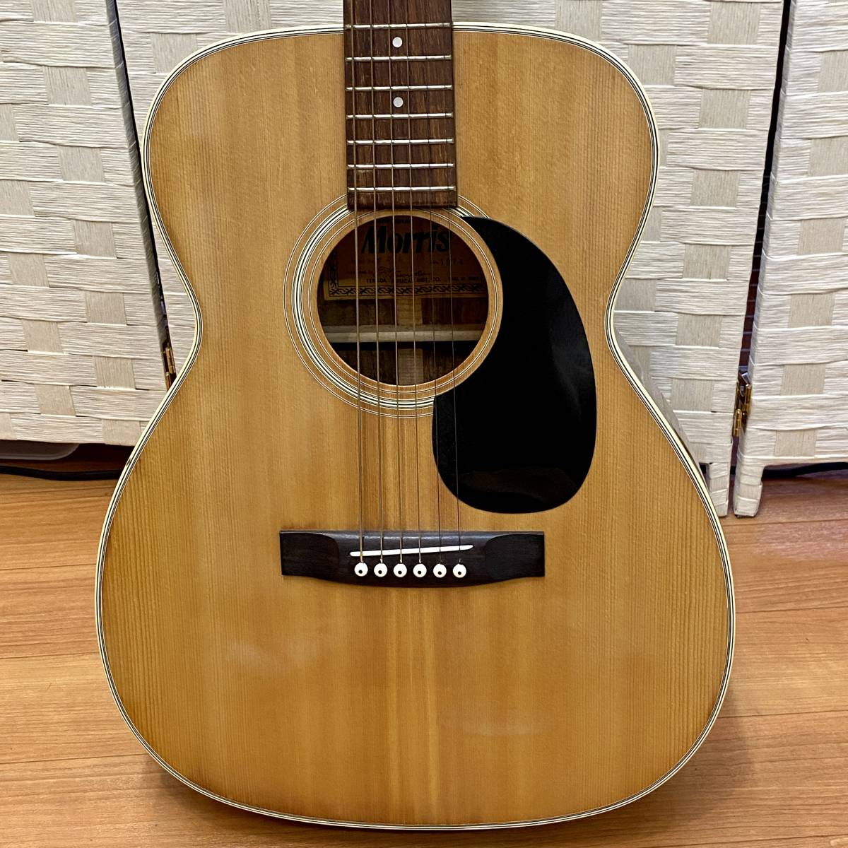 F-15 モーリス TY0505□Morris 生産完了品 GUITARS モーリスギター 