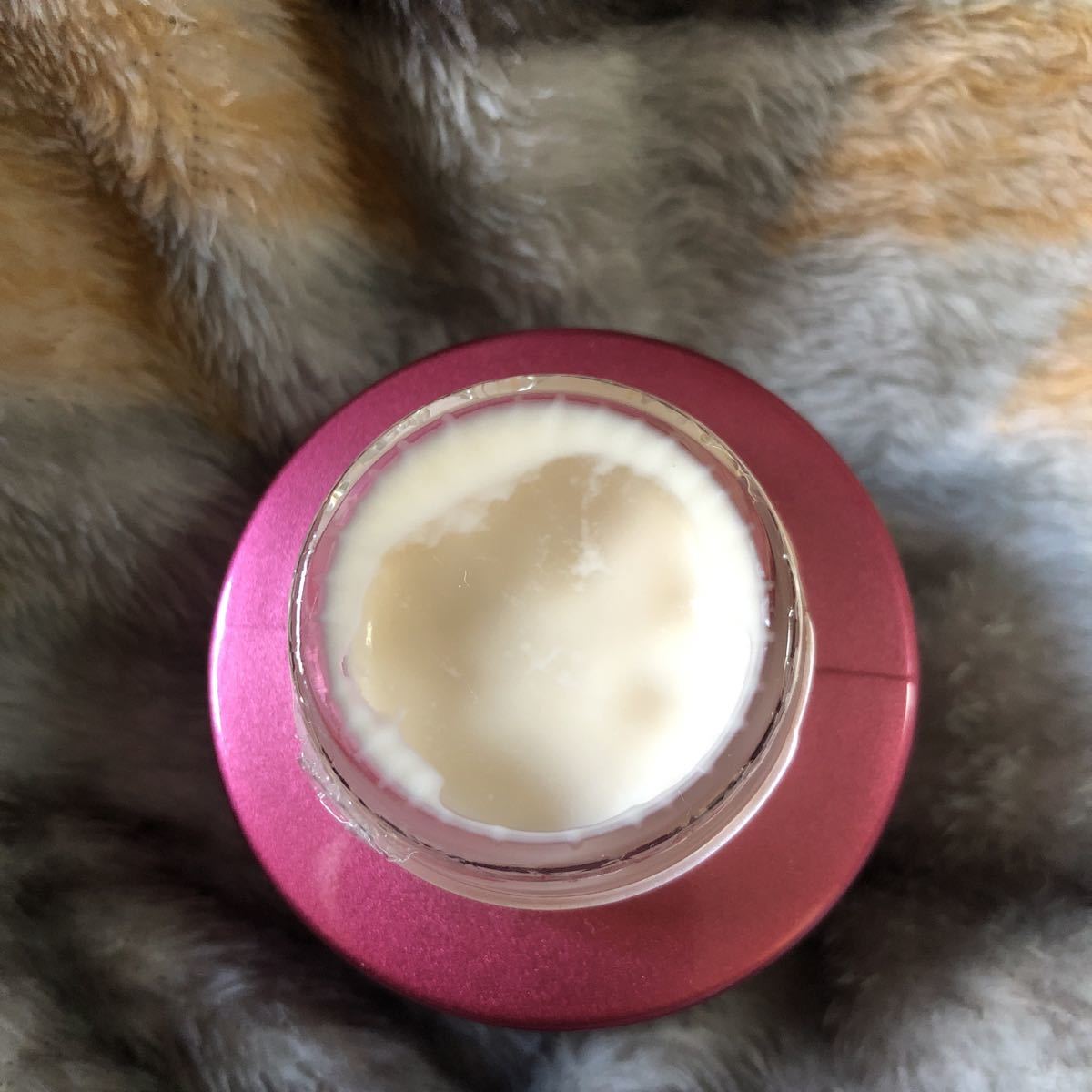 トワニー セラムインクリーム | - メルカリ 30g ⁄ セラムインクリーム 