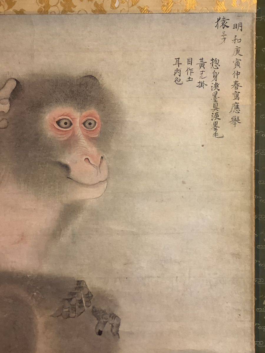 模写】掛軸Jul589B[円山応挙 猿図]紙本 工芸 印刷 複製 木箱／日本画
