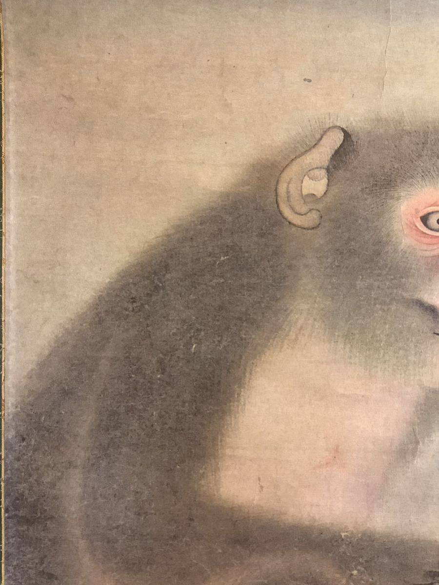 模写】掛軸Jul589B[円山応挙 猿図]紙本 工芸 印刷 複製 木箱／日本画