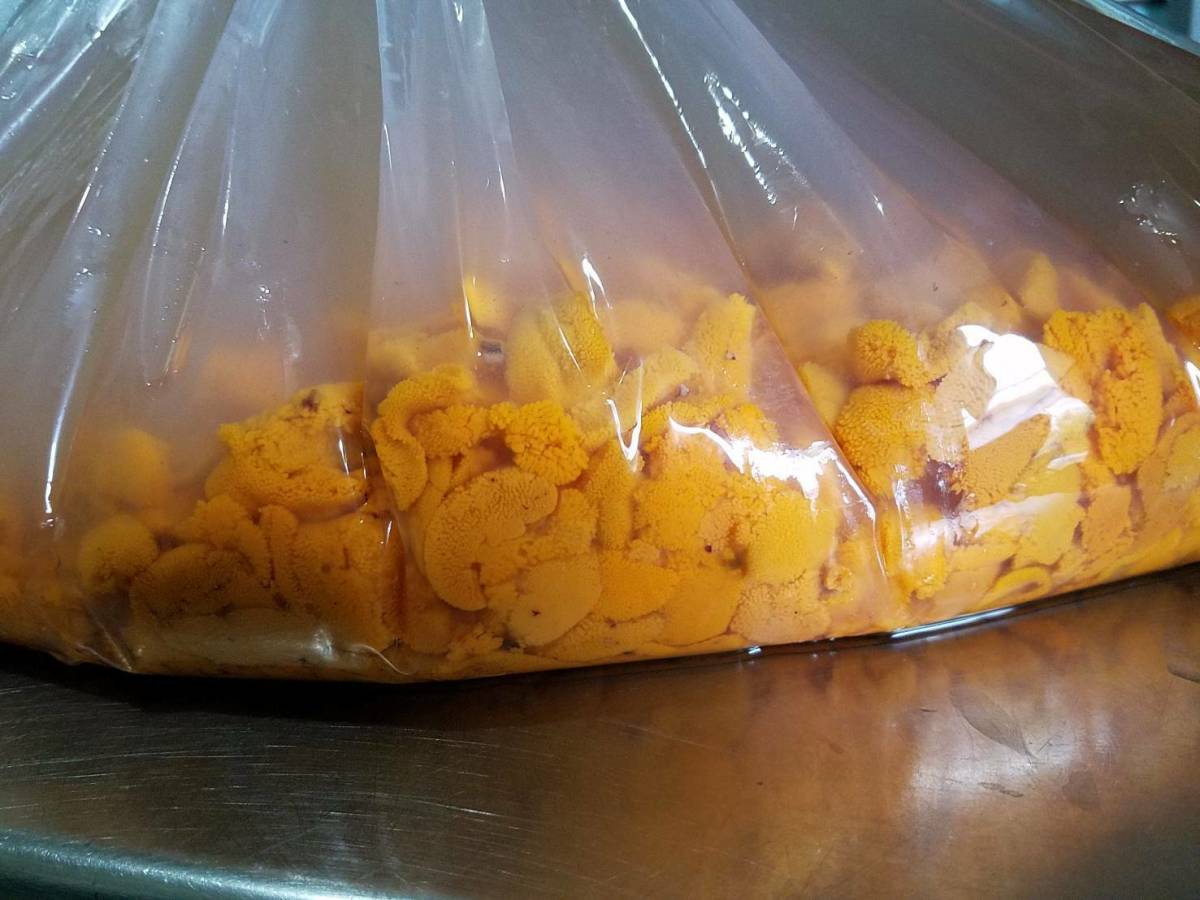 【無添加】業務用北海道産最高峰利尻島産塩水エゾバフンウニ袋入り　　賞味500g