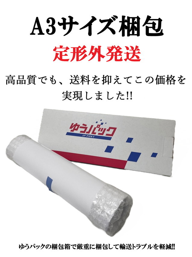 13675□送料無料!!アートポスター 絵画 A3サイズ『アンリ・マティス 猫