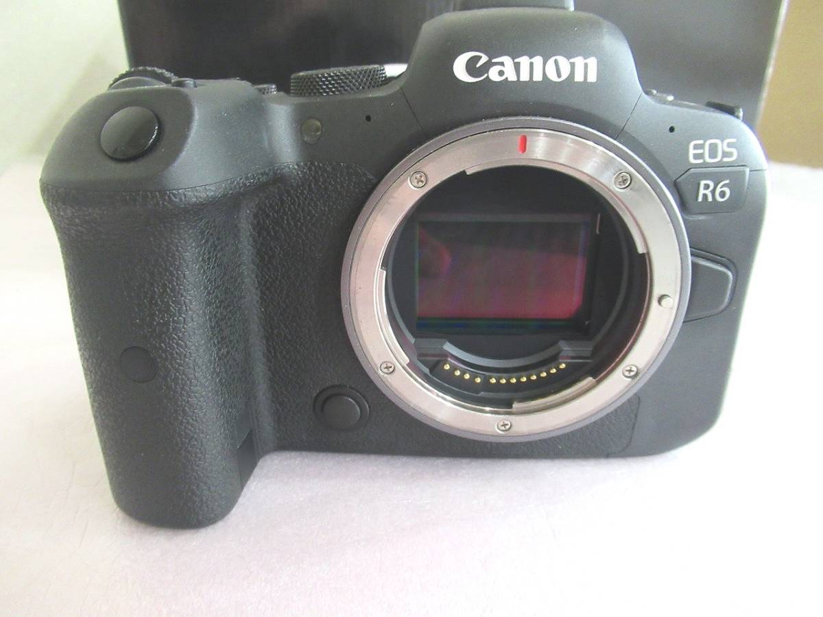 美品 Canon (キヤノン) EOS R6 ボディ ／バッテリー 2個つき☆ SD