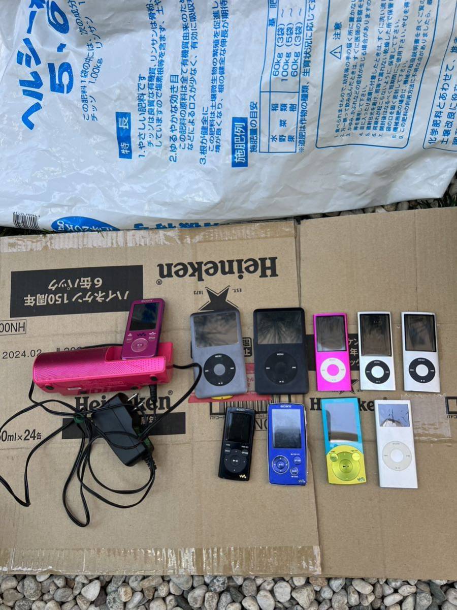 iPod まとめ売り