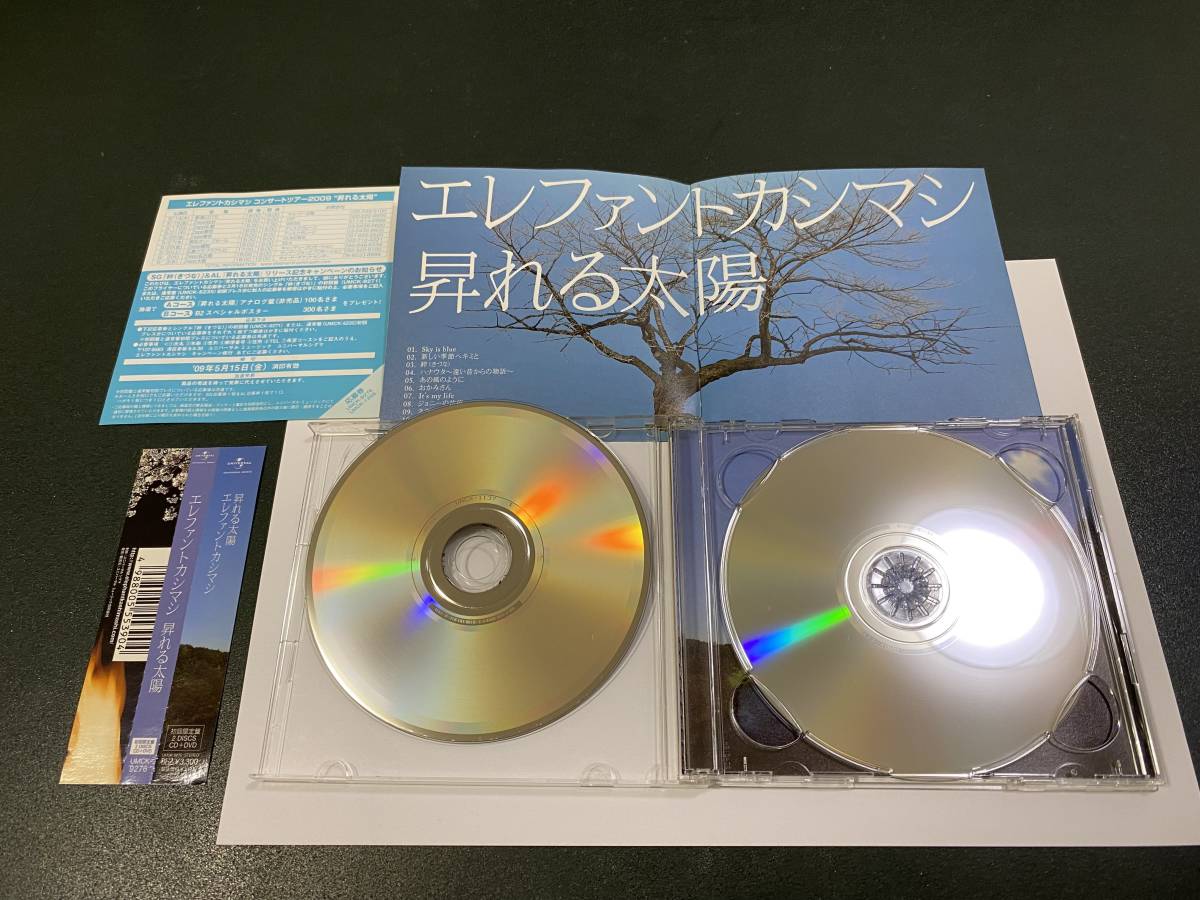 エレファントカシマシ　昇れる太陽　初回限定版(CD＋DVD)_3
