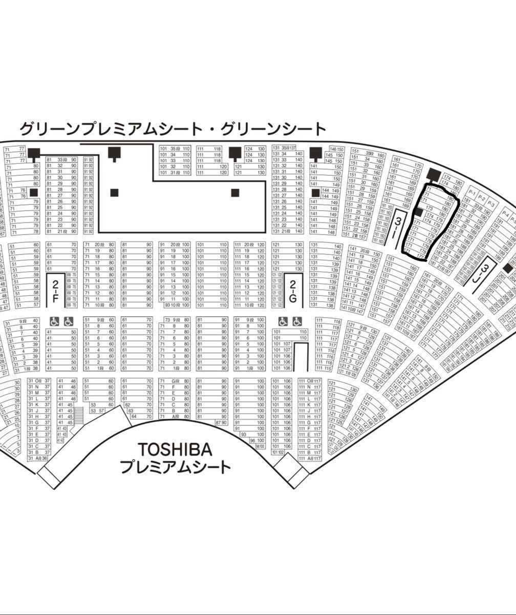 8/29(火)18:00 阪神タイガースVS DeNA 甲子園 チケット グリーンシート