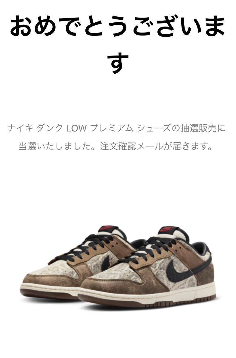 送料無料 NIKE DUNK LOW Head 2 Head CO.JP 28cm US10 FJ5434-120 ナイキ ダンク ロー 新品未使用 SNKRS当選 黒タグ付き スニーカーズ