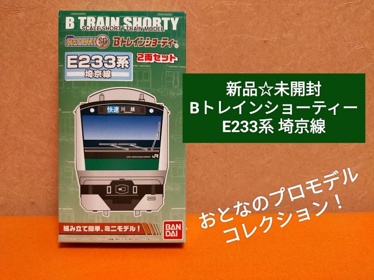 ☆新品・未使用未開封☆入手困難希少激レア！Bトレインショーティー