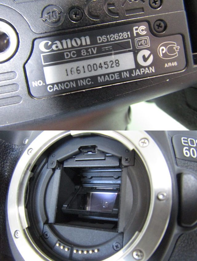 Canon キヤノン EOS 60D デジタル一眼レフカメラ ＋ EF 50mm F1.8 60D