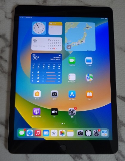 ジャンクiPad(第9世代)Wi-Fiモデル（64GB）A2602