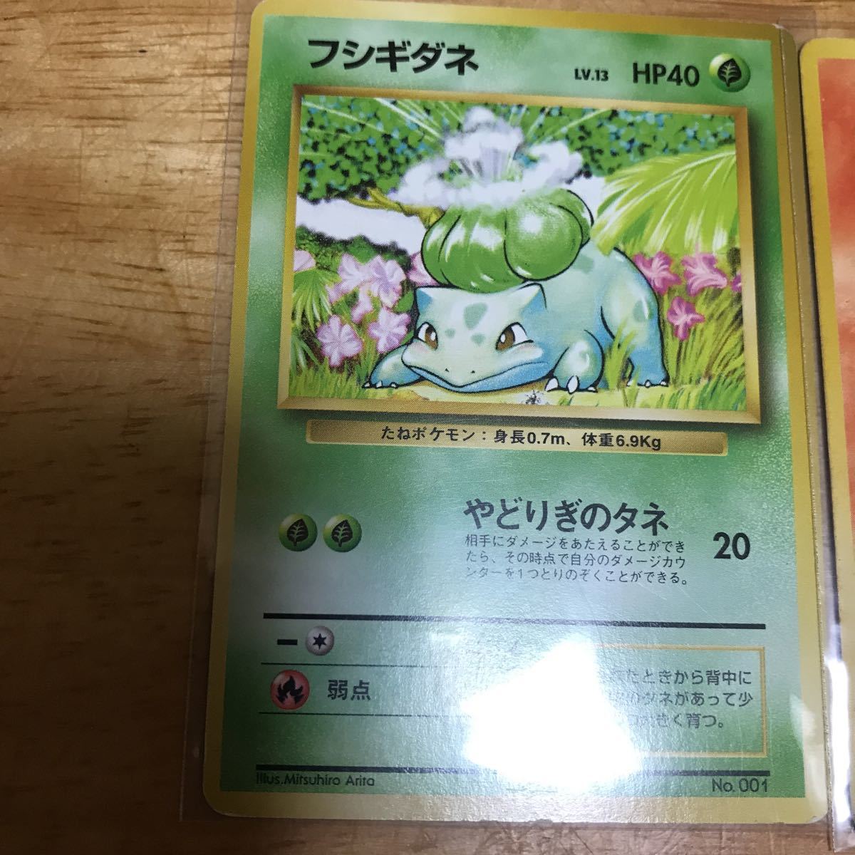ポケモンカード 旧裏面 点なし フシキダネ ヒトカゲ ゼニガメ 1996年 