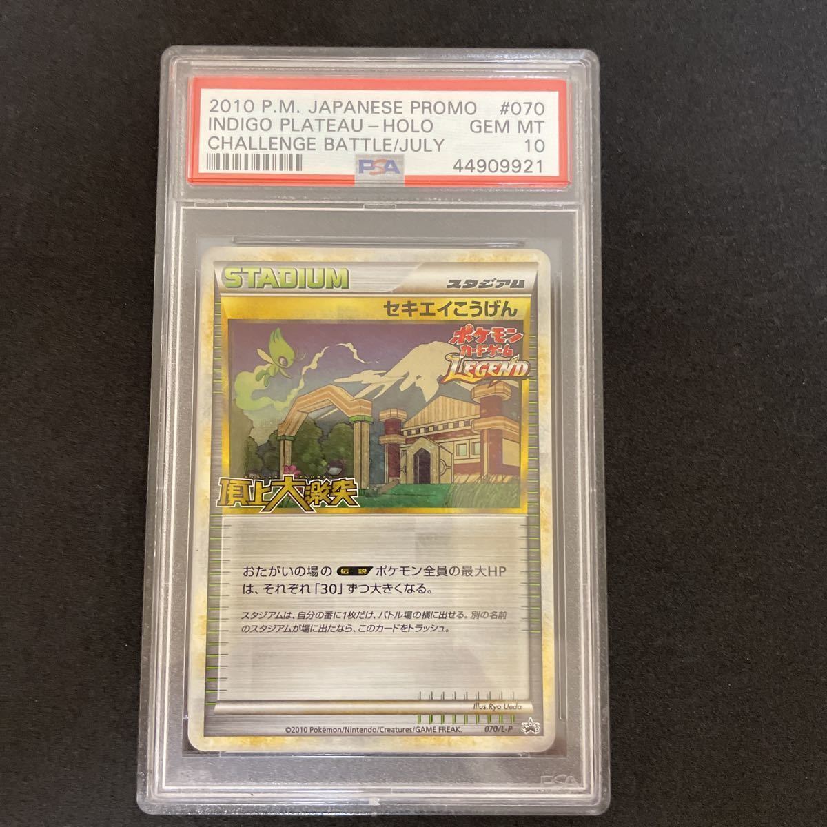 セキエイこうげん PSA10