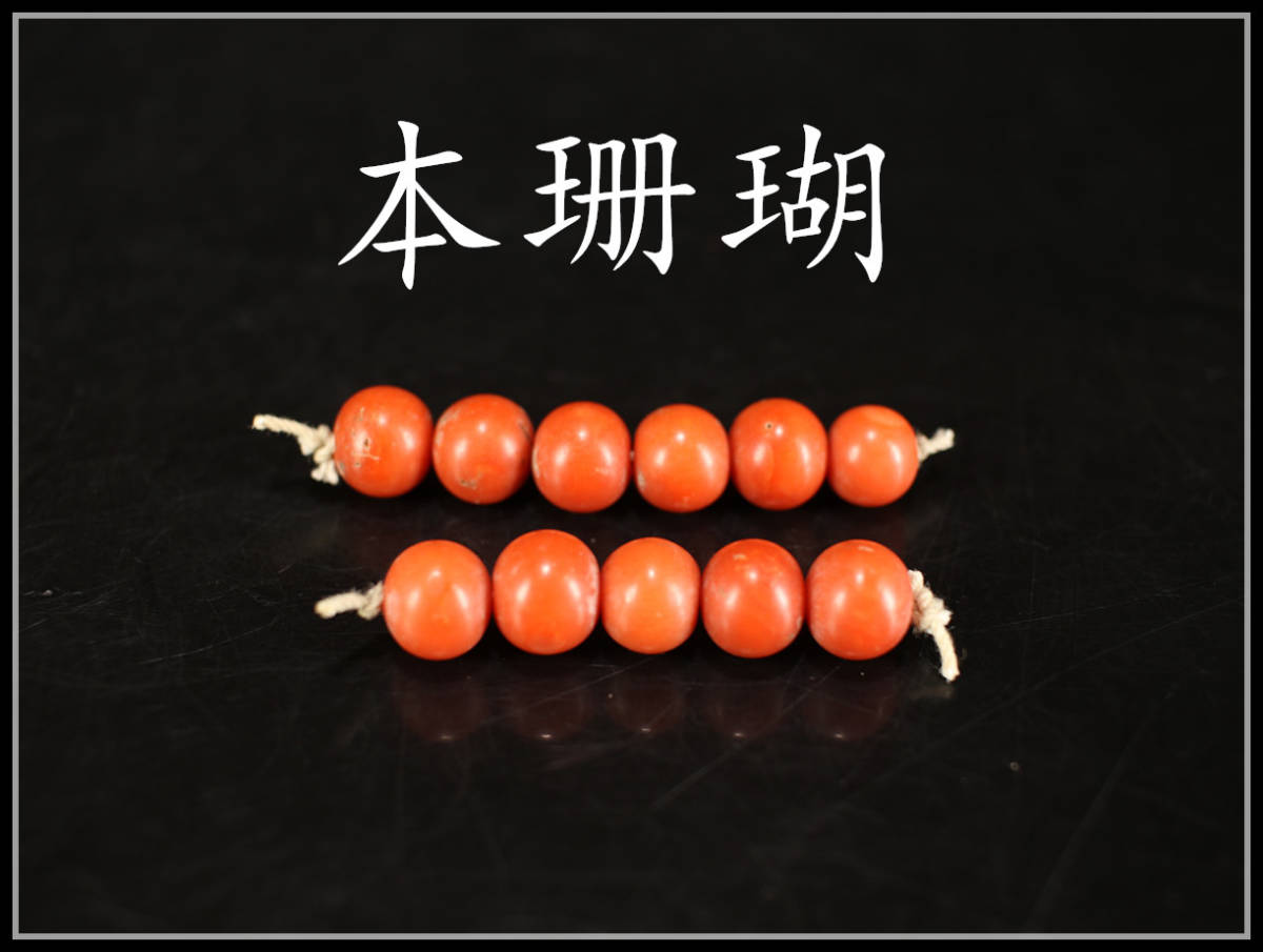 【美】IA173 【本珊瑚】 赤珊瑚玉 11点 最大径 9mm／美品！ｒ