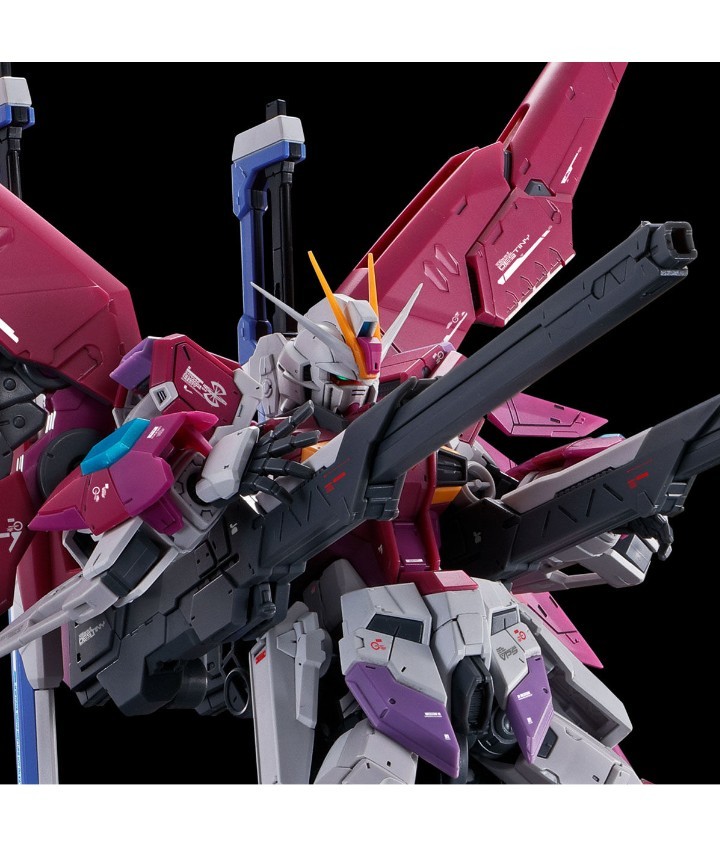 未組立品 機動戦士ガンダムSEEDデスティニー MSV RG1/144デスティニーインパルス ガンダム プレミアムバンダイ限定品(機動戦士ガンダムSEEDデスティニー)｜売買されたオークション情報、yahooの 機動戦士ガンダムSEEDデスティニー