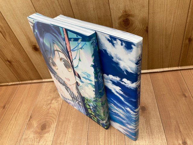 みつみ美里・甘露樹 画集 計2冊/MITSUMI MISATO AMADUYU TATSUKI ART