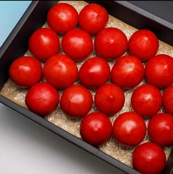 北海道フルーツトマト 4箱【極濃味】(このみ)超濃厚 旨味 糖度10以上