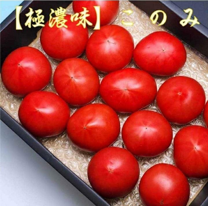 北海道フルーツトマト 4箱【極濃味】(このみ)超濃厚 旨味 糖度10以上 化粧箱 北海道フルーツトマト 4箱【極濃味】(このみ)超濃厚 旨味 糖度10以上