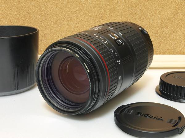 シグマ 70-300 4-5.6 DL MACRO SUPER（全ズーム域マクロ化改造）_1