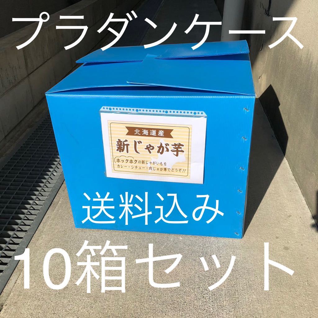 プラダンケース 10箱セット 引越しや長期保管に最適 | RAGNA.BY