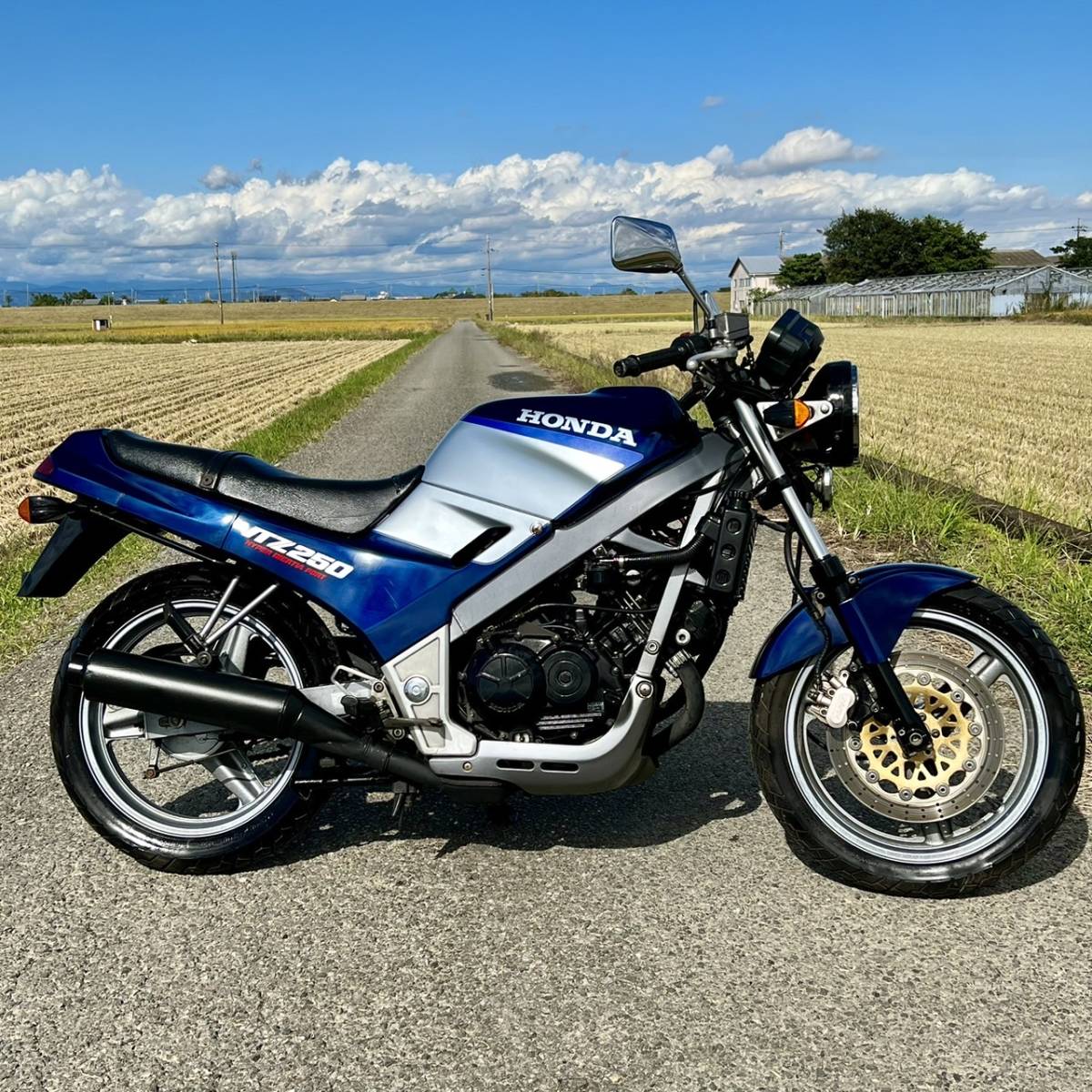 vtz250 深 現状不動 車体はコンテナ保管 バラ売り不可