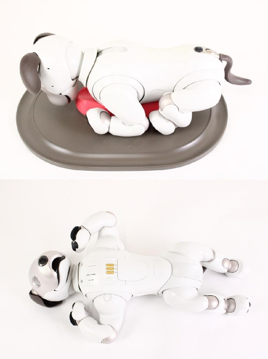 ソニー アイボ ERS-1000 ボール・アイボーン・足裏パッド AIBO 犬型