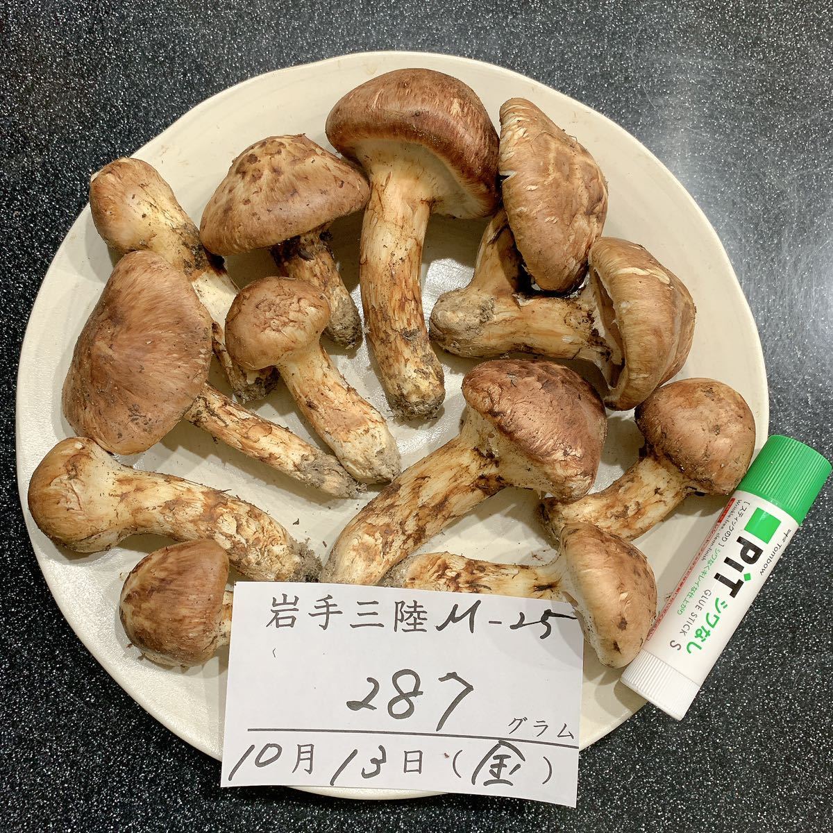 岩手県産松茸⑥ 287g 【公式通販】