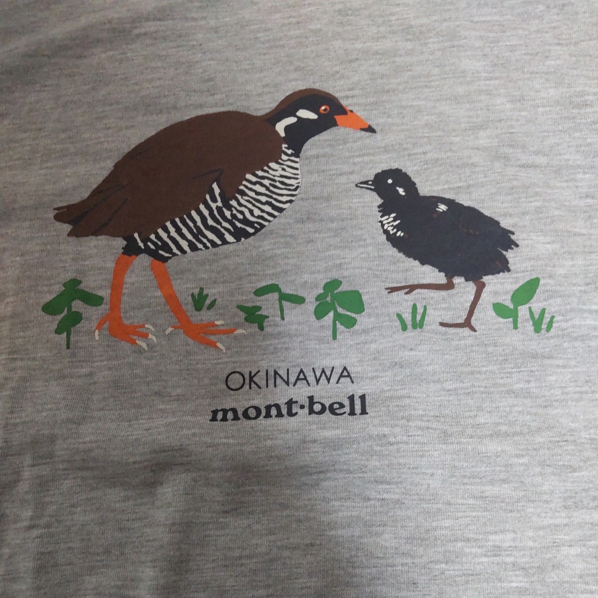 ♪mont-bell♪モンベル 地域限定Tシャツ 沖縄 男女兼用Mサイズ 未使用新品