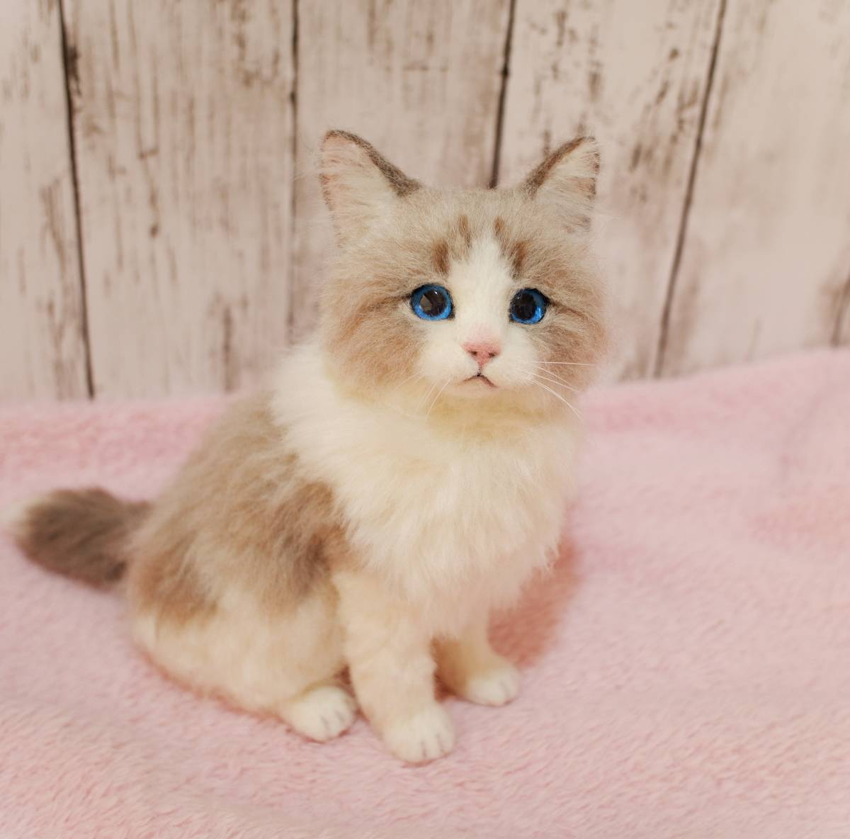 羊毛フェルト リアル猫 ラグドール 猫 【公式通販】