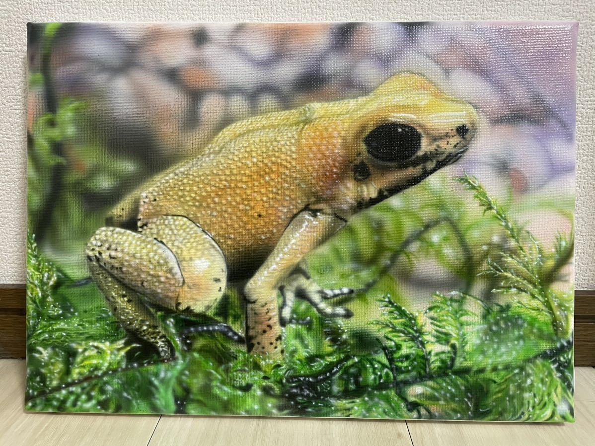 モウドクフキヤガエル　カエル　絵画　F4号