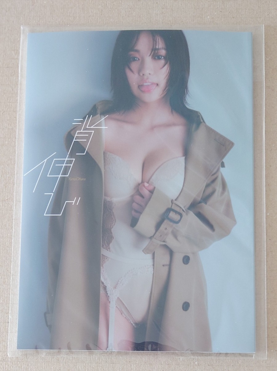 新品 大原優乃 フォトブック 【背伸び】 ファンクラブ 限定 写真集 おおはらゆうの 未読品