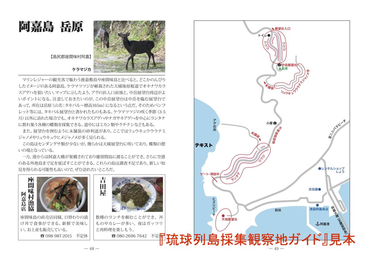 琉球列島採集観察地ガイド・シン・八重山諸島採集観察地ガイド。2冊