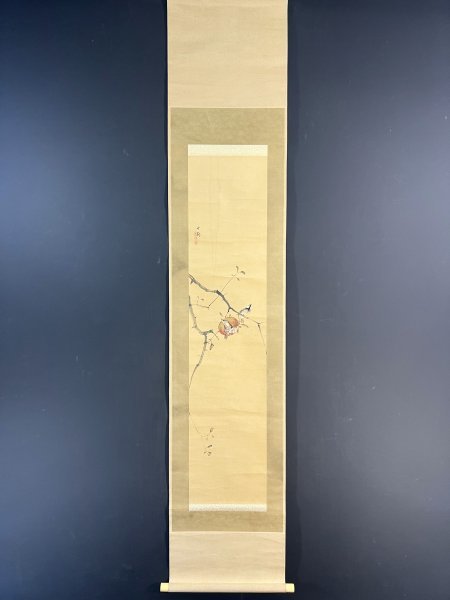 模写 田近竹邨「石榴小禽図」紙本 合箱 田能村直入師事 日本画 中国