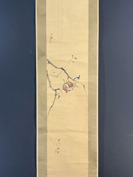 模写 田近竹邨「石榴小禽図」紙本 合箱 田能村直入師事 日本画 中国