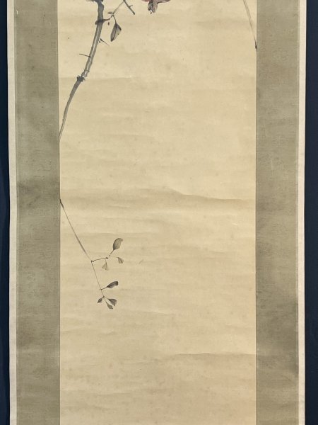 模写 田近竹邨「石榴小禽図」紙本 合箱 田能村直入師事 日本画 中国