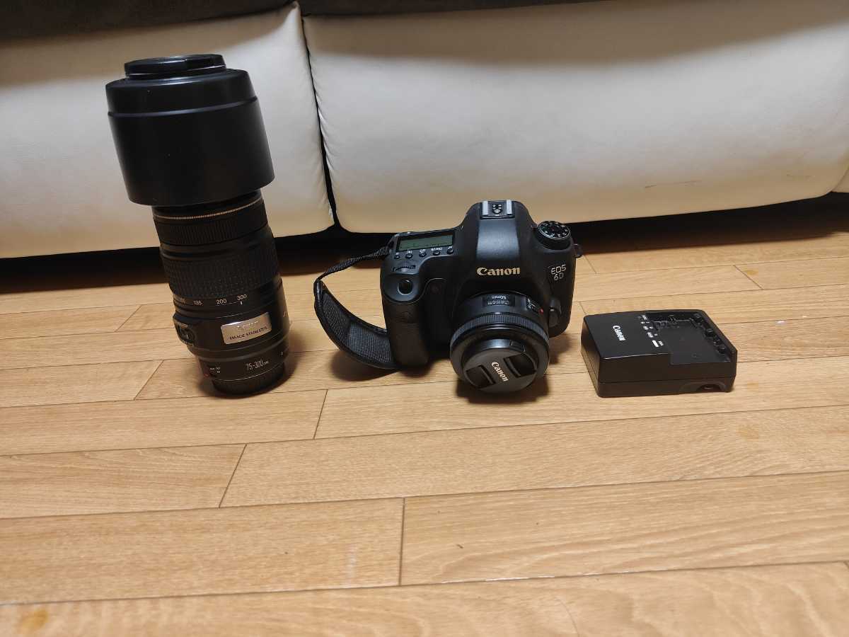 初心者必見 ズームレンズセット CANON キャノン EOS 6D EF 50mm 1:1.8 