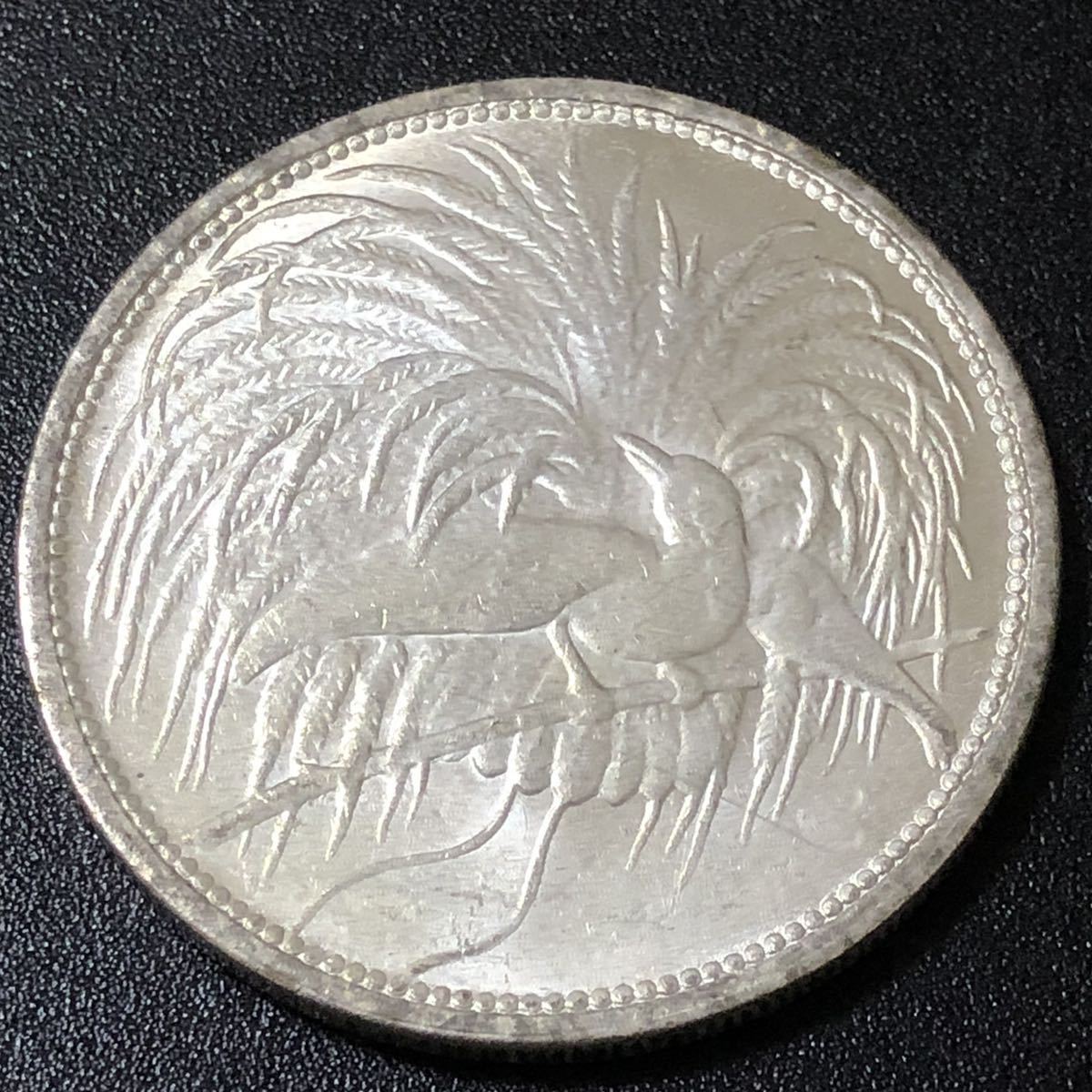 銀貨 1894年 5マルク銀貨 極楽鳥 ドイツ領ニューギニア ドイツ帝国