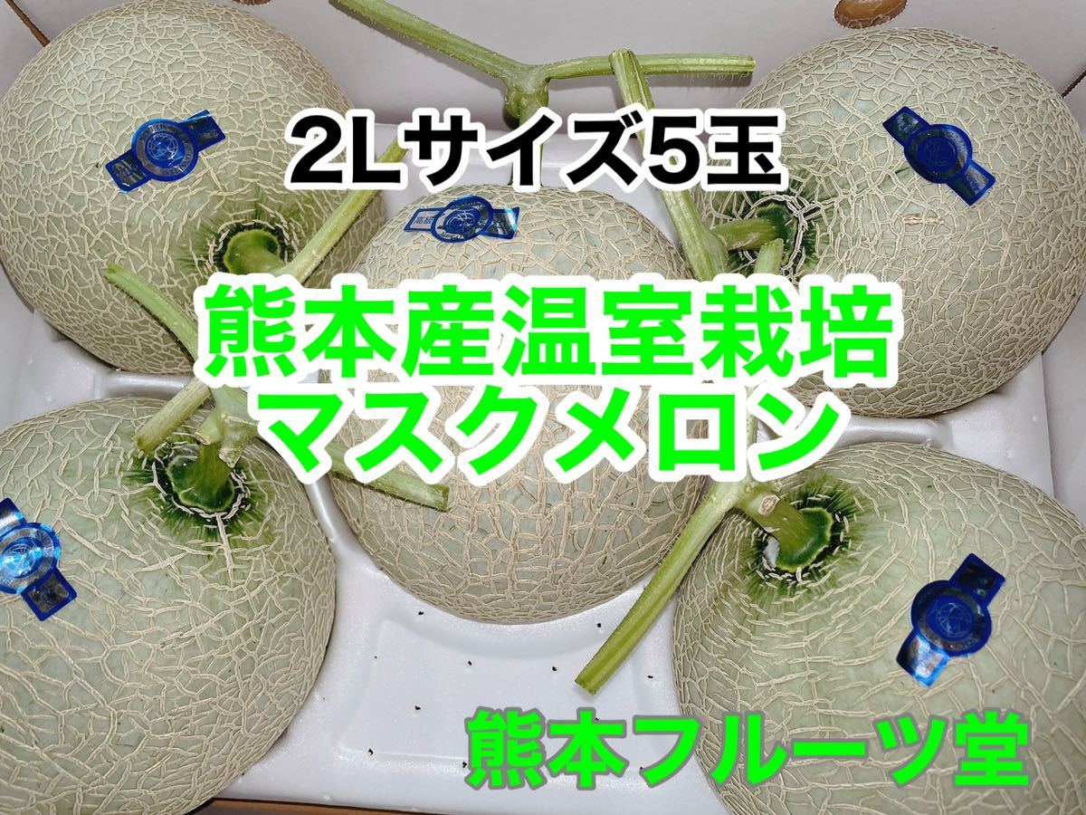 メロン アールスメロン マスクメロン 熊本県産他マスクメロン（2