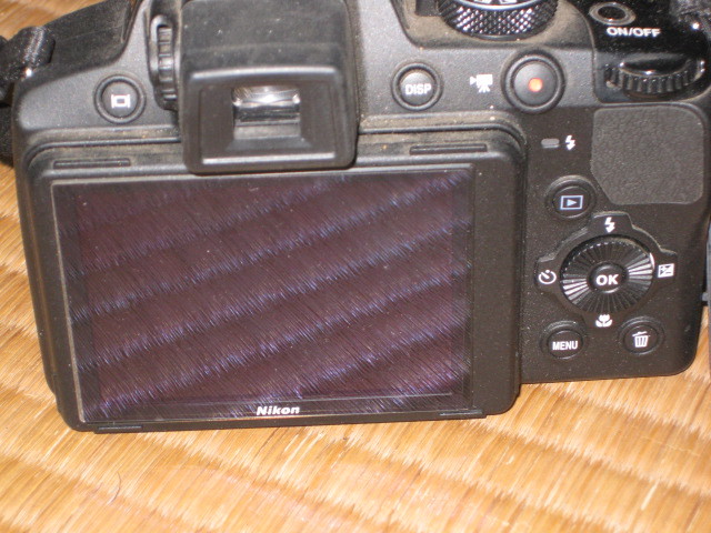 ニコン クールピクス　P510_3