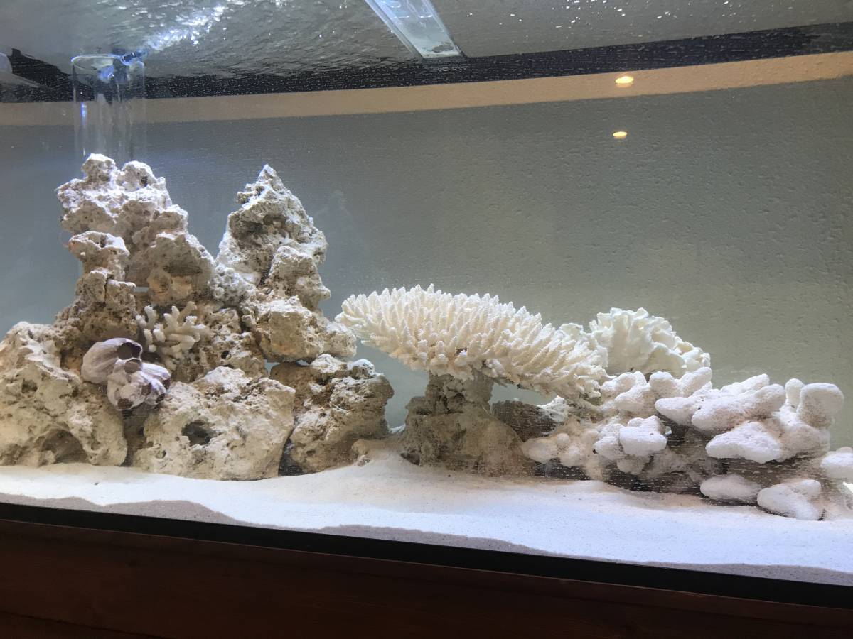 ☆高級☆アクリル水槽☆オーバーフロー☆海水魚☆淡水魚