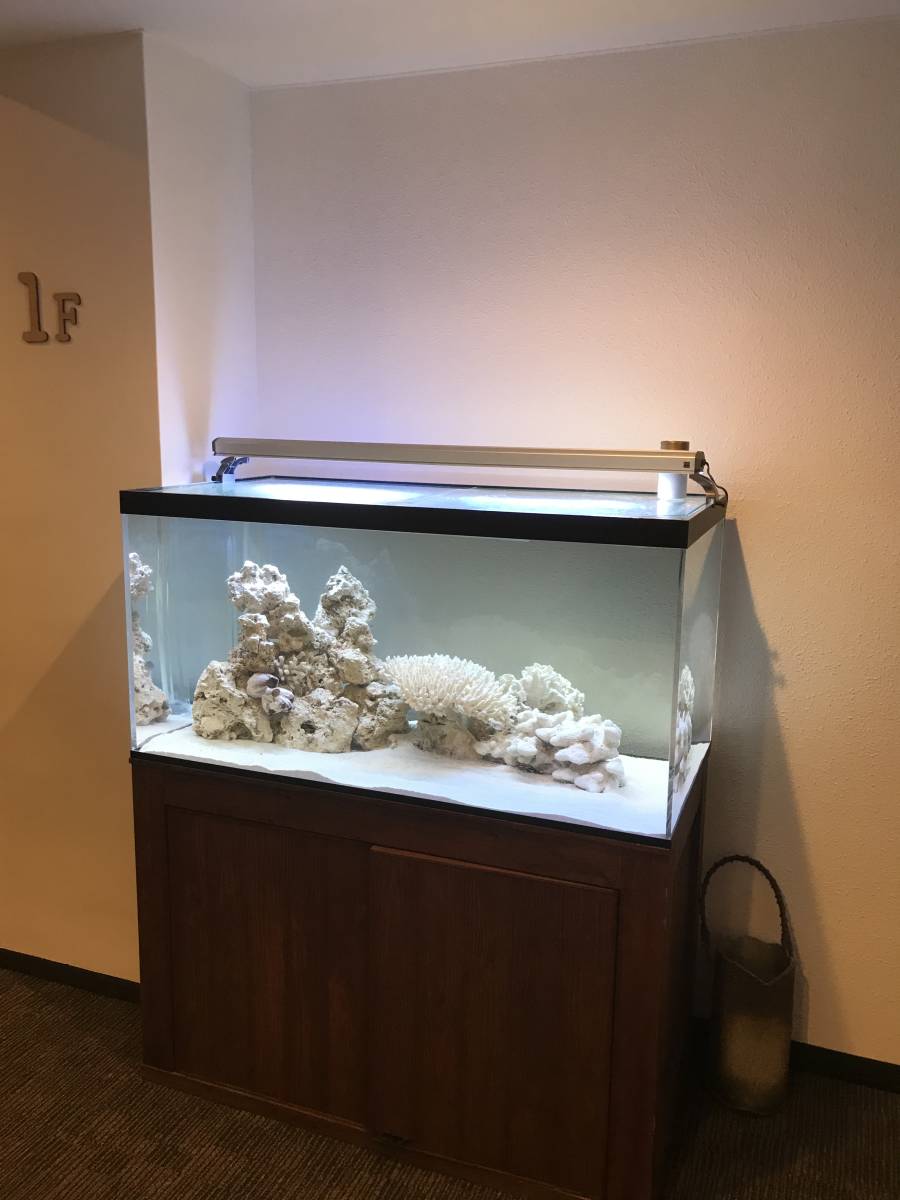 アクリル2面白オーバーフロー水槽 ☆高級☆アクリル水槽☆オーバーフロー☆海水魚☆淡水魚