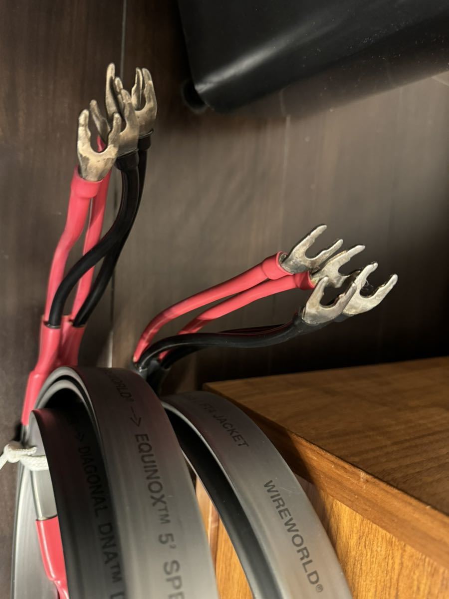 ワイヤーワールド WIREWORLD EQUINOX 5.2 2.0m ペア スピーカーケーブル