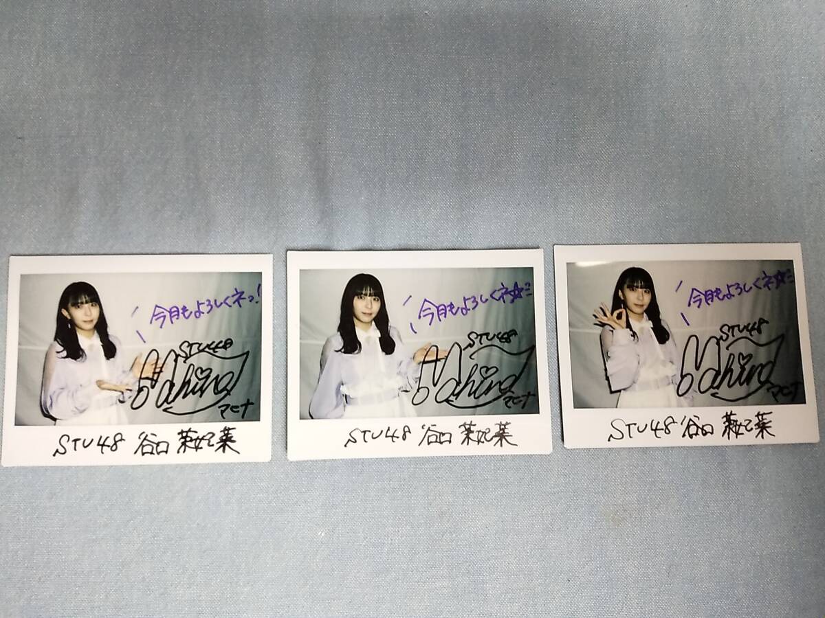 STU48 谷口茉妃菜 直筆サイン入り チェキ 24枚 STU48の7ならべ 景品
