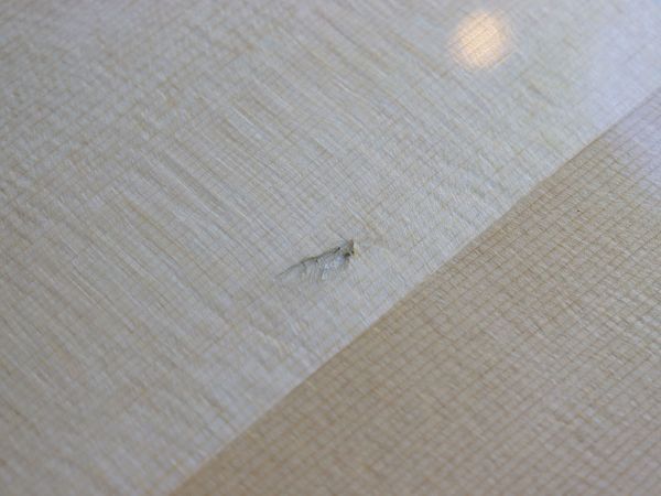 【中古・サマーセール】Martinez MSCC-14 RS エレガット 【2024010000223】_8