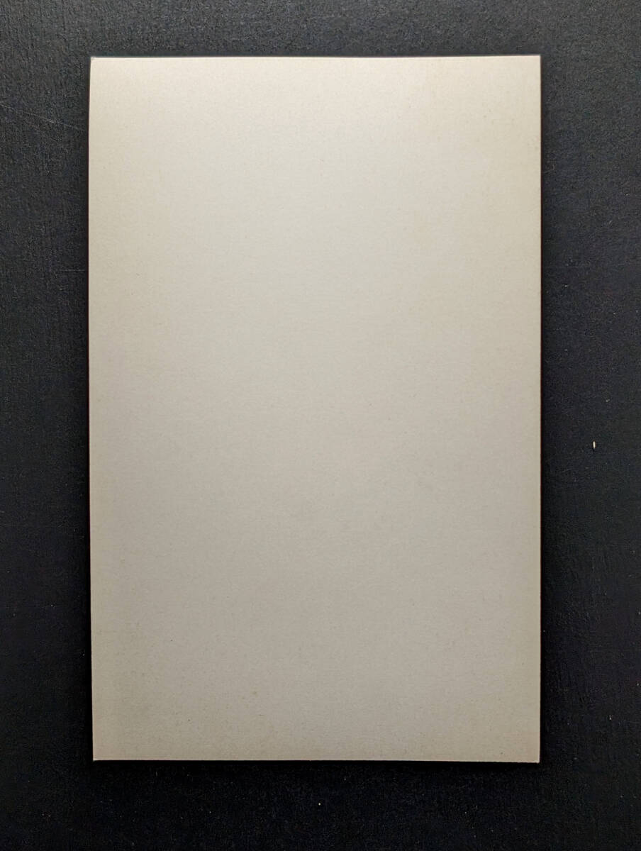 古写真 戦前 美人 明治 大正 7-746 検）絵葉書 絵はがき 芸妓 芸者