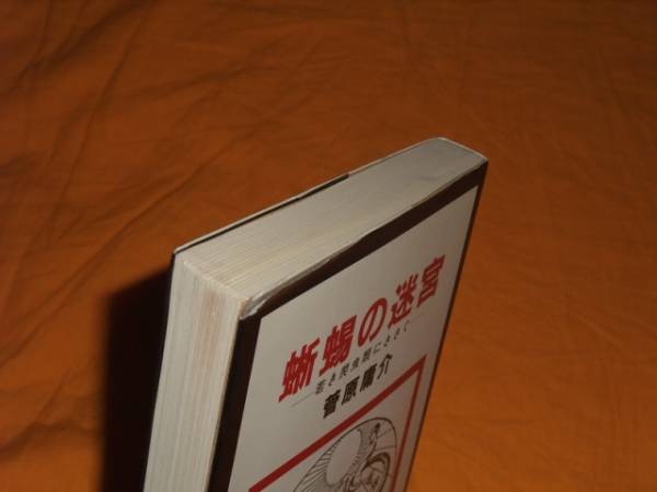 菅原庸介 蜥蜴の迷宮 若き爬虫類にささぐ モモヨ リザード(自伝