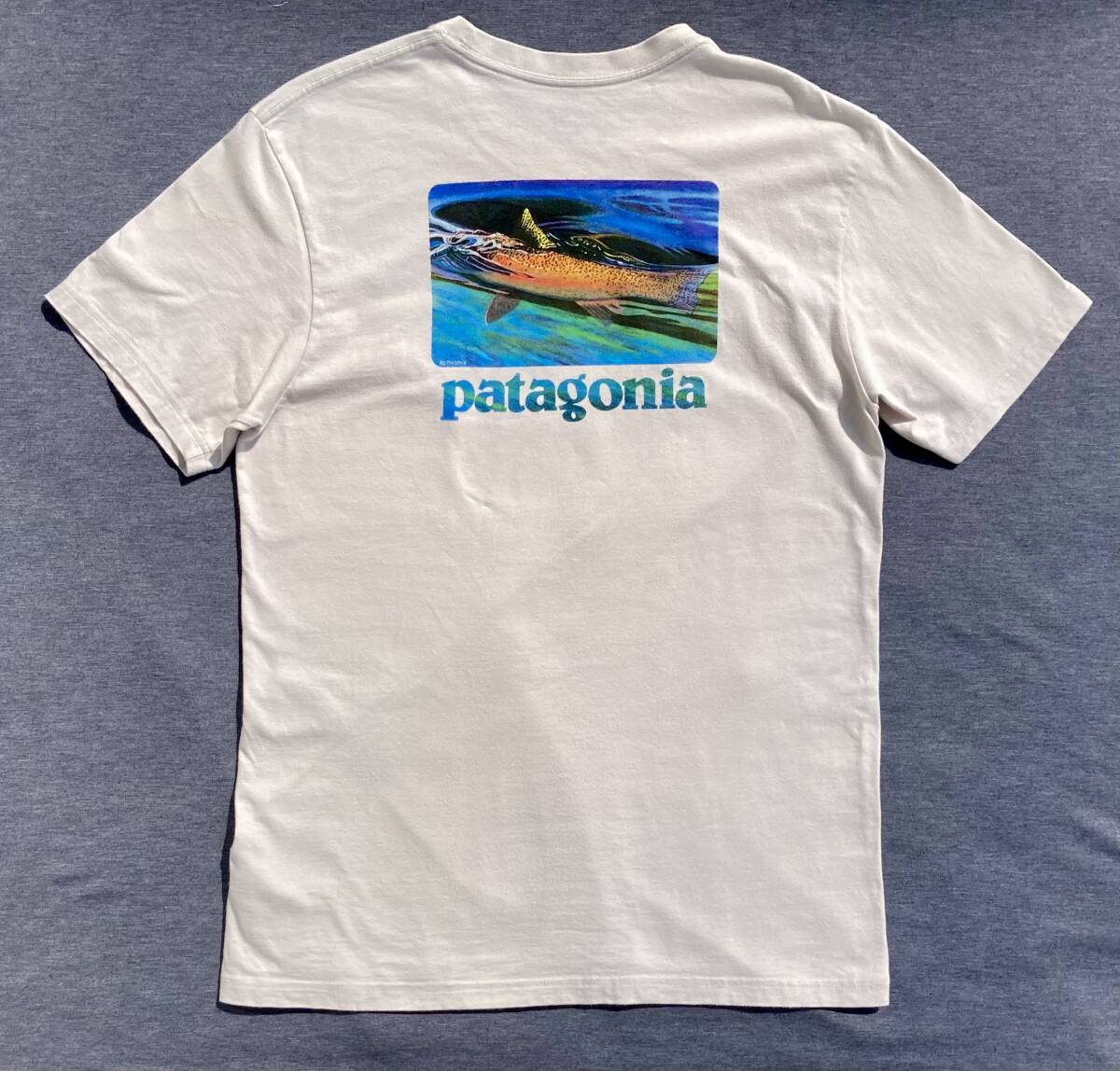 patagonia World trout バックプリント Tシャツ M パタゴニア 釣り
