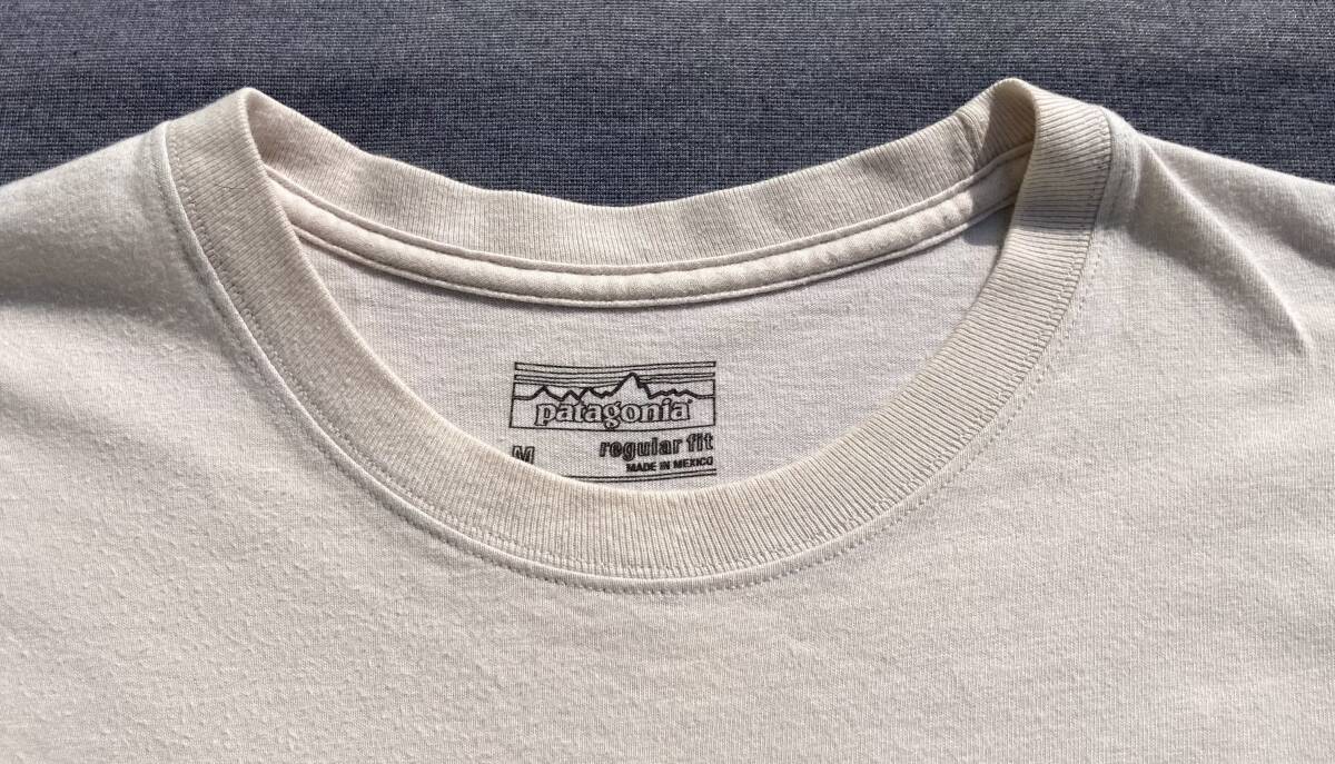 patagonia World trout バックプリント Tシャツ M パタゴニア 釣り